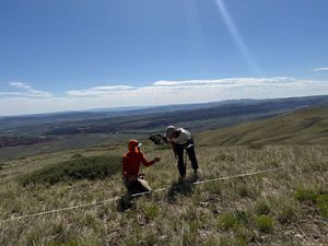 Two people doing research on a field of sagebrush and cheatgrass.