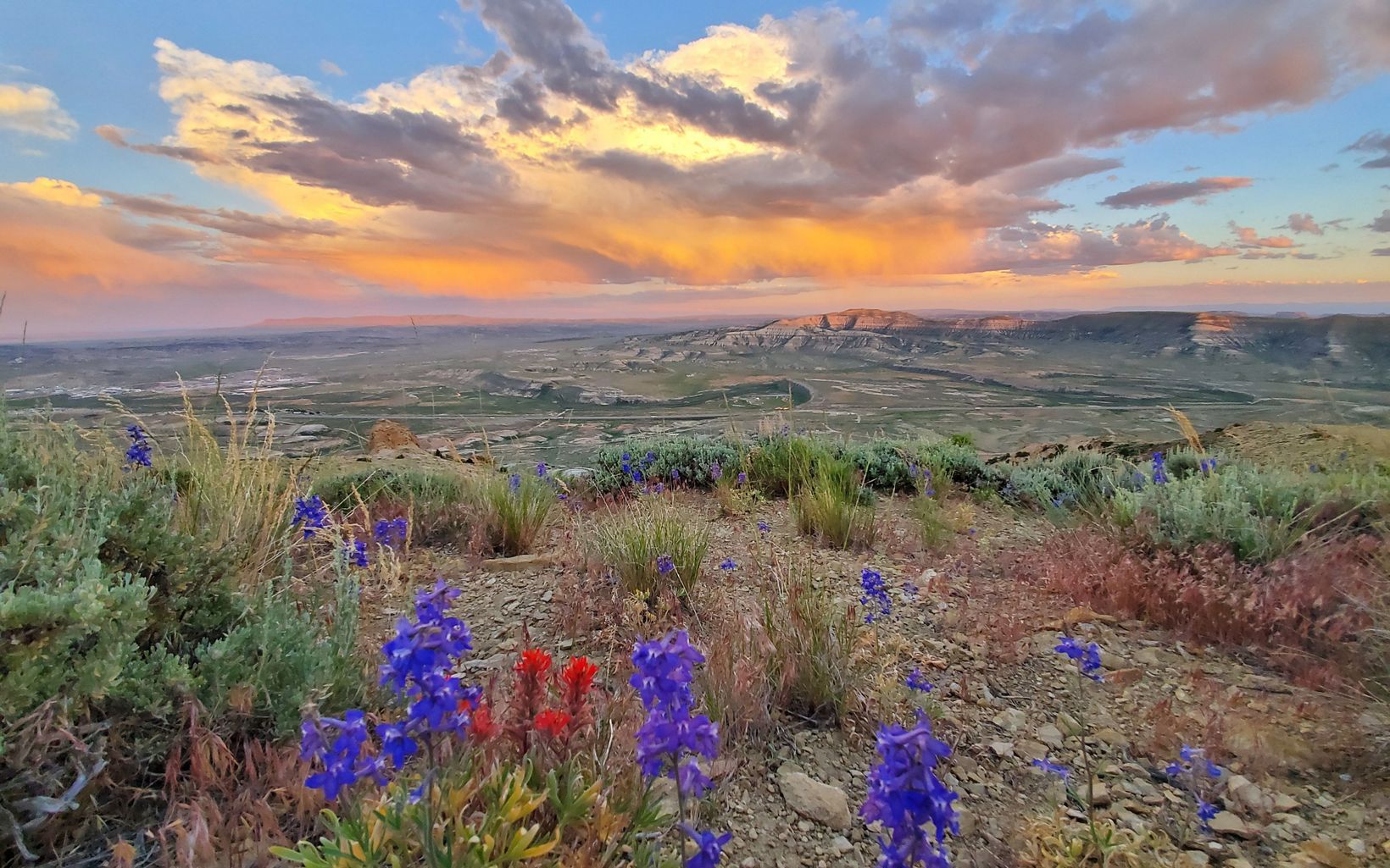
                
                  First Place Winner Category: Wyoming Lands
                  © Jayden Ungaro
                
              