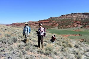 Three people standing on a hill doing research in the field.