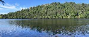 A lake with a forested bluff in the background. 