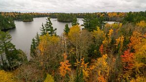 Forest surrounds Wagner Lake. The trees are covered in brightly colored, autumn leaves. 