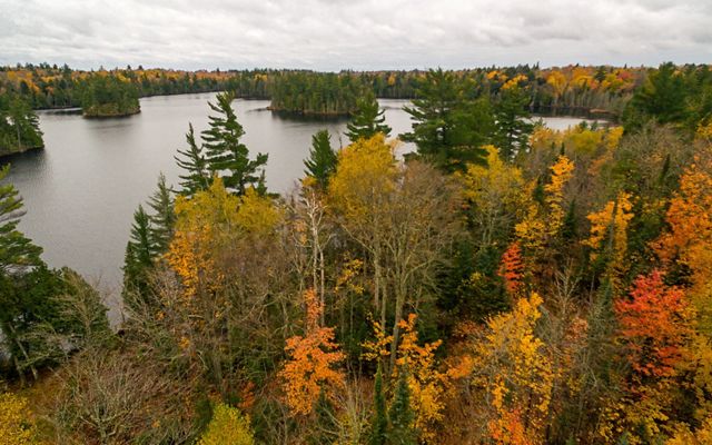 Aerial view of forest around large lake with fall colors.