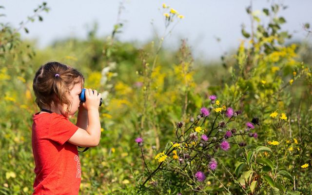 A young girl looks through binoculars into a field of fall wildflowers. 