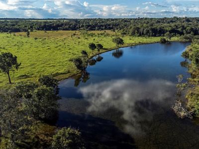 Manacacias savannah in Orinoco basin, Colombia.