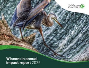 2025 Wisconsin Annual Report cover.