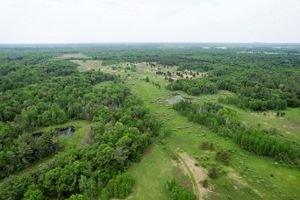A sprawling green landscape covered in trees, meadows, a small pond, and sandy areas is seen from above.