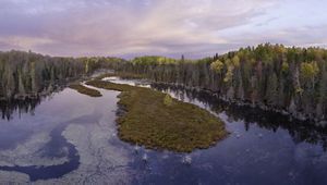 A lush landscape of trees lines a small, still pond.