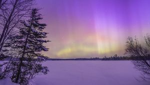 Purple, green, and white streaks of the Northern Lights fill the night sky over a snowy landscape.