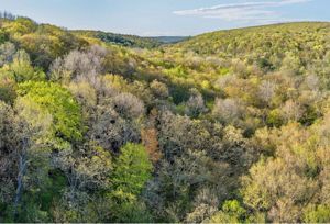 Wooded hills covered in trees that are just beginning to leaf out in the spring stretch to the horizon under a light blue sky. 