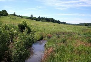 A shallow stream running through a hilly prairie.