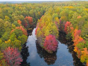 An aerial view of early fall foliage emerging around a river in the Northwoods of Wisconsin. 