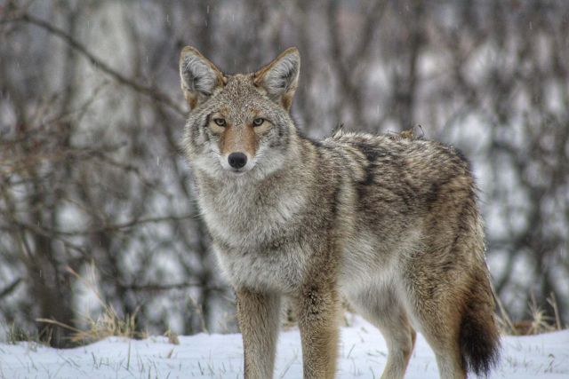 Wisconsin's Nature Is a Must-See in All Seasons | TNC