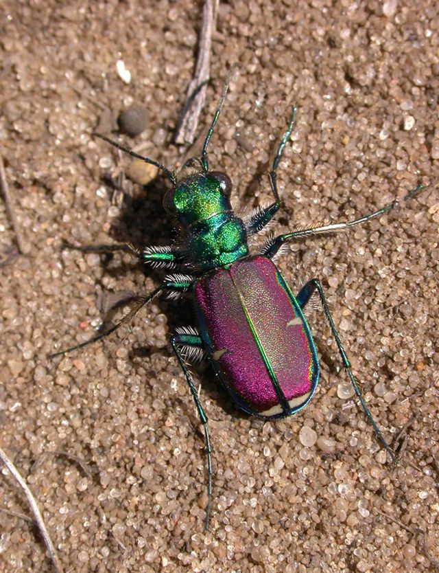 Wisconsin's Nature Is a Must-See in All Seasons | TNC