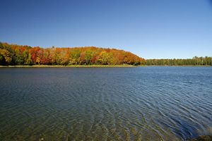 A rippling lake surrounded by autumnal trees on the lakeshore. 
