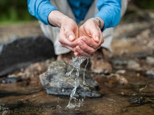 Woman's hands scooping water from a stream.