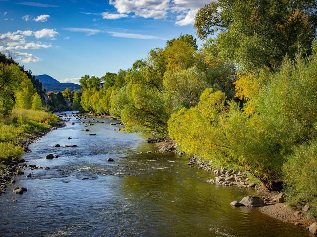 rocky river lined by green trees, with mountains on the horizon