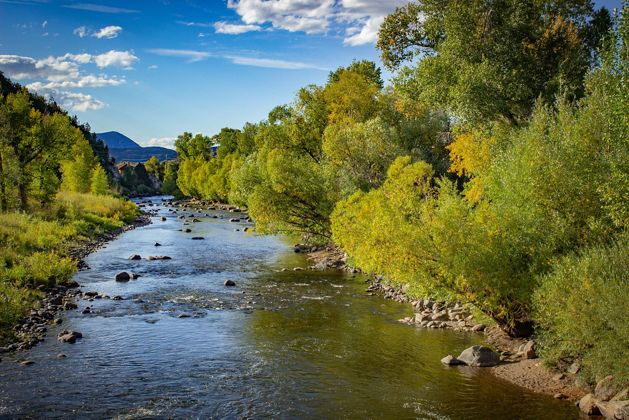 Under a sapphire blue sky, the Yampa river runs into the distance, shaded on either side by lush trees and undergrowth. 