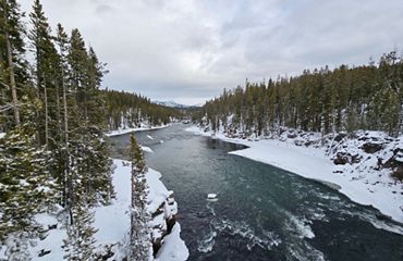 A river flows through a snowy forest.