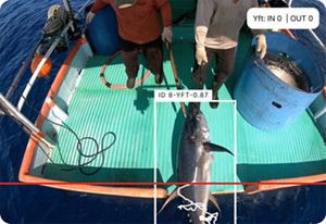 A tuna lies on a boat deck and has data overlaid on it from AI technology.