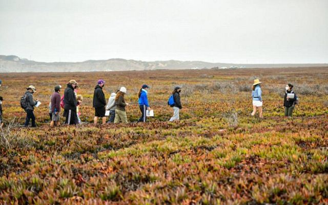 A group of students in a line explore a coastal area of the Dangermond Preserve.