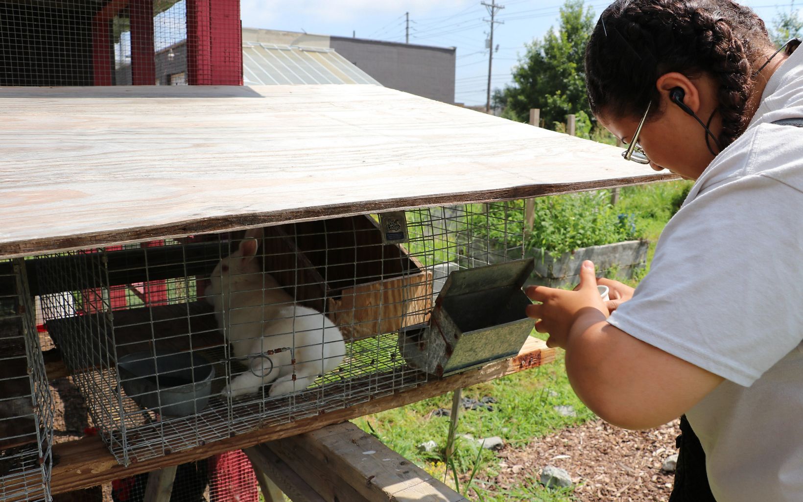 A young woman feeds a rabbit.