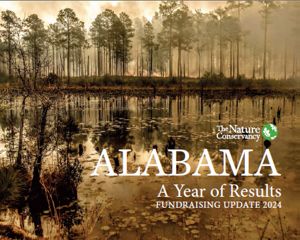 A report cover features calm water reflecting the surrounding forest.