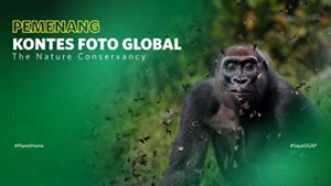 Pengumuman Pemenang Kontes Foto Global TNC