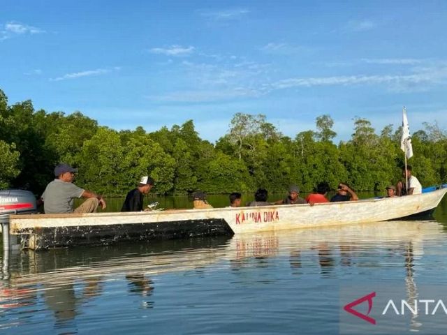 Masyarakat Desa Gane Dalam menyusurin hutan mangrove di kawasan sekitar desa di Kabupaten Halmahera Selatan, Provinsi Maluku Utara.
