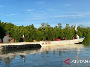 Masyarakat Desa Gane Dalam menyusurin hutan mangrove di kawasan sekitar desa di Kabupaten Halmahera Selatan, Provinsi Maluku Utara.