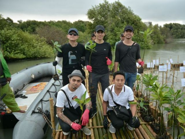 Mangrove Volunteers day