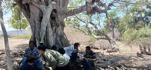 diskusi lahan apotik hidup 