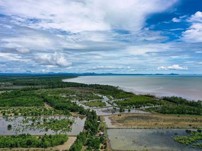 Mangrova dan Tambak yang bersandingan dan dikelola dalam skema SECURE di Kampung Tabalar Muara, Kabupaten Berau.