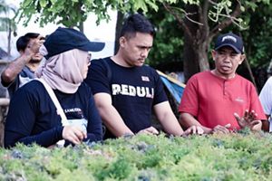 budi daya rumput laut