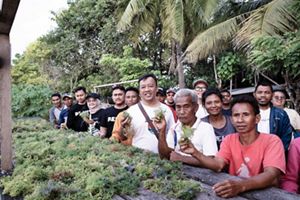 budi daya rumput laut