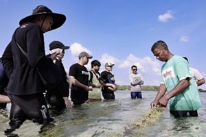 budi daya rumput laut