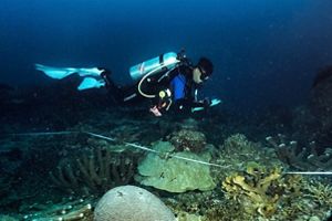 monitoring terumbu karang