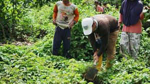 Pengambilan sample tanah di lahan warga Hulu Kelay.