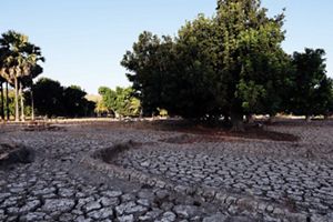 The prolonged drought has caused the soil in agricultural land to dry out.