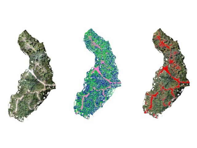 Identification of open areas as a result of remote sensing software analysis.