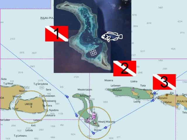 Sermata Grouper map