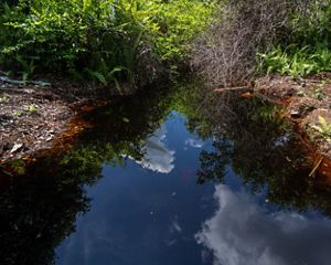 It is a canal in the peatland ecosystem. Photo Taken  2022-05-31