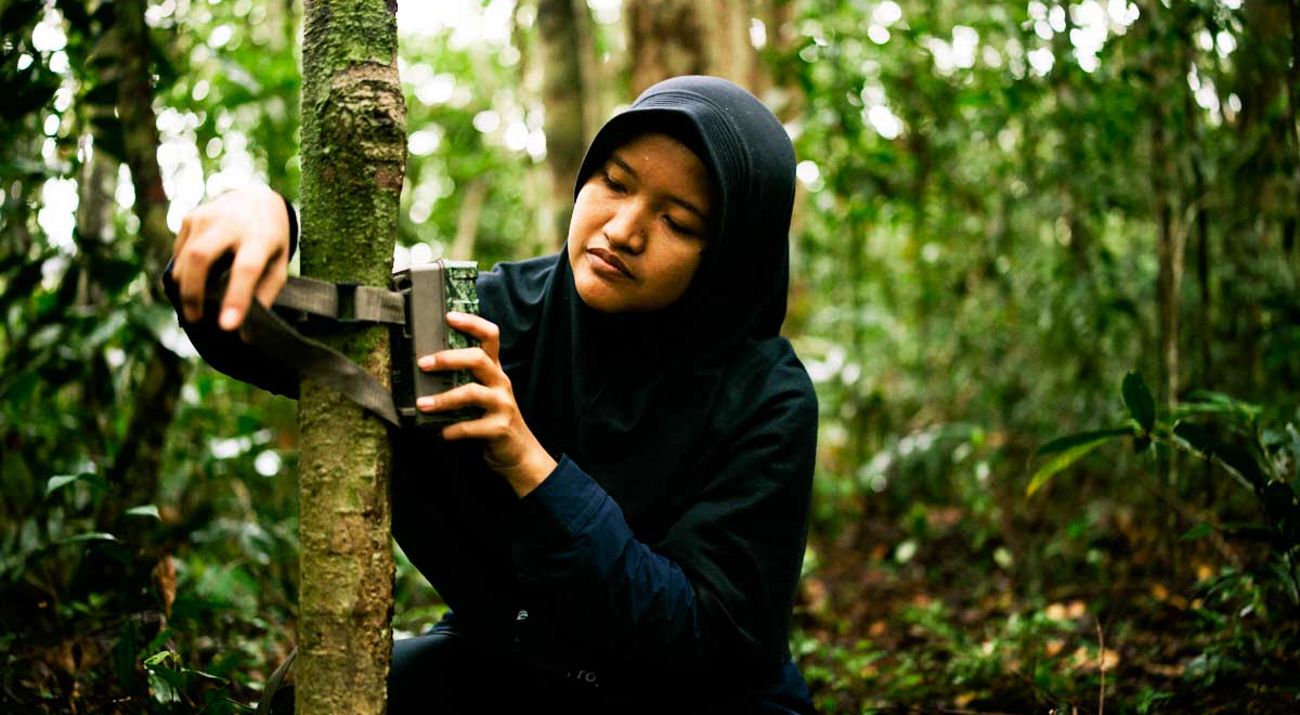 Camera Trap