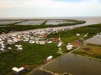 Pemukiman, petak tambak, dan hutan mangrove. Inilah salah satu potret lingkungan hidup masyarakat pesisir Kabupaten Ogan Komering Ilir (OKI) di Desa Sungai Lumpur, Kecamatan Cengal, Provinsi Sumatera Selatan.