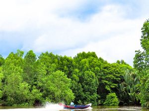 Kondisi geografis di pesisir OKI dilalui oleh sungai besar maupun kanal sungai yang bercabang. Jarang ada jalan setapak maupun jembatan yang menghubungkan satu dusun dengan dusun lainnya. Oleh karena itu, transportasi yang paling sering digunakan adalah perahu atau pun speedboat, sambil menyusuri hutan mangrove.