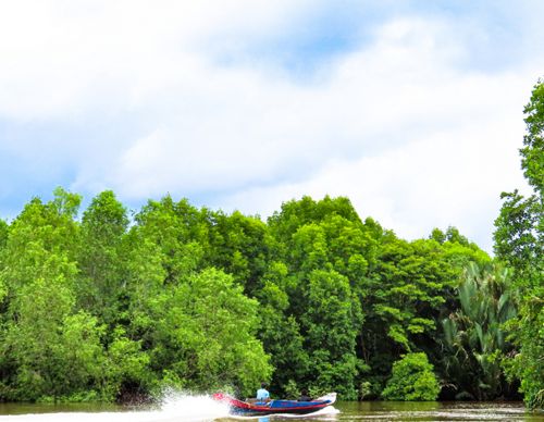 Kondisi geografis di pesisir OKI dilalui oleh sungai besar maupun kanal sungai yang bercabang. Jarang ada jalan setapak maupun jembatan yang menghubungkan satu dusun dengan dusun lainnya. Oleh karena itu, transportasi yang paling sering digunakan adalah perahu atau pun speedboat, sambil menyusuri hutan mangrove.