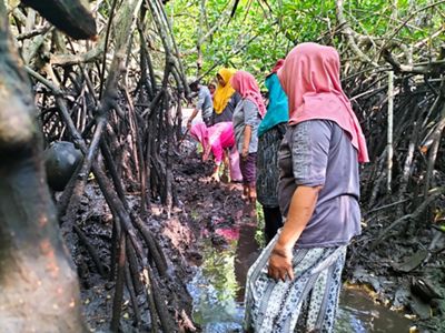 Kelompok perempuan Saga Jaya pada saat pemasangan Crab Drum untuk pembesaran kepiting bakau.
