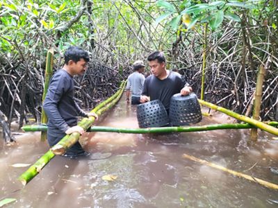Kelompok perempuan Saga Jaya pada saat pemasangan Crab Drum untuk pembesaran kepiting bakau.