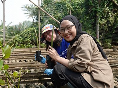 Selain penanaman para awak media juga di edukasi cara menyemai mangrove.