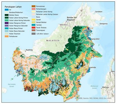 Peta penutupan lahan pulau Kalimantan.
