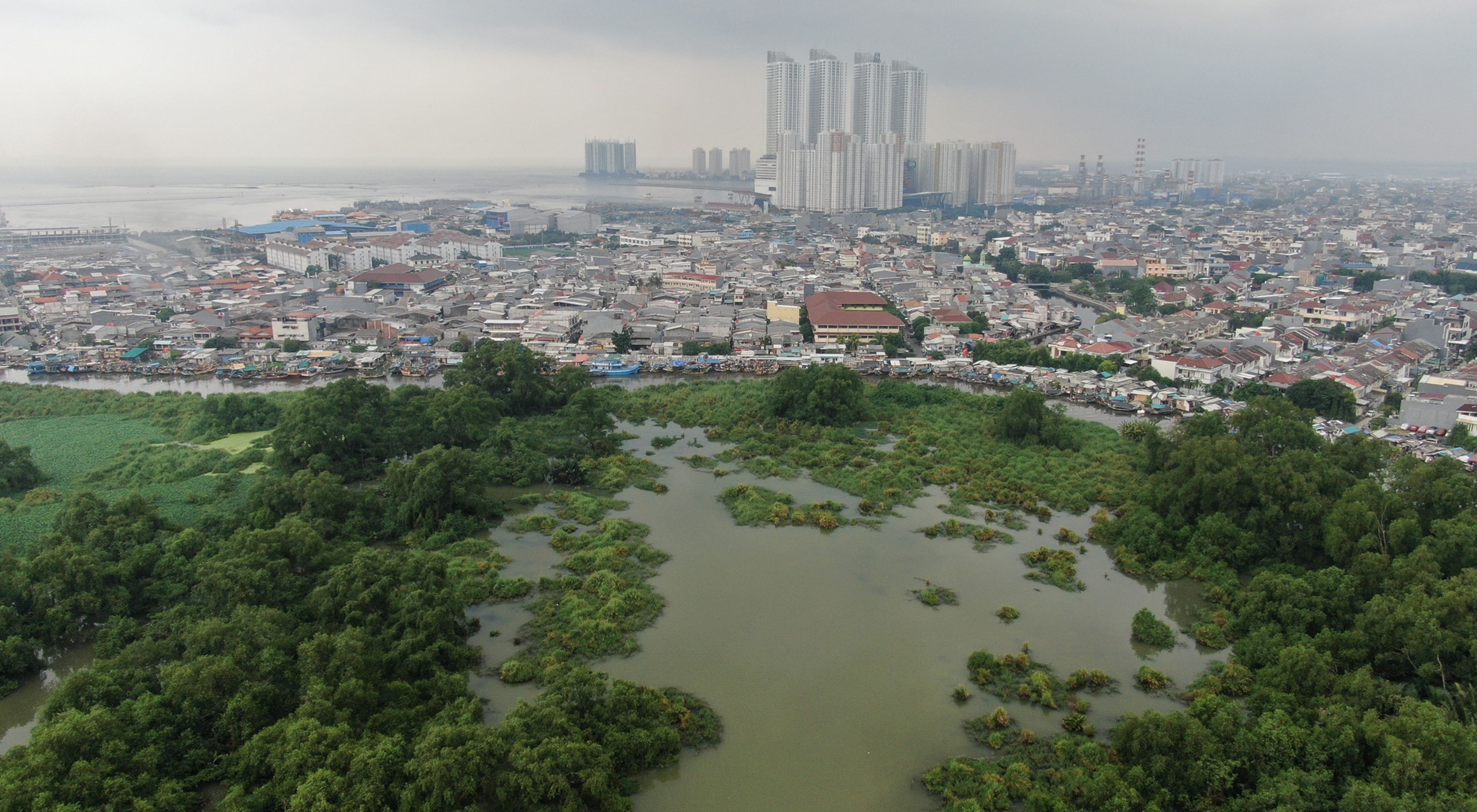 Muara Mangrove Ecosystem Restoration in the SMMA
